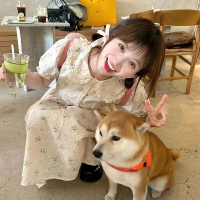间谍兔洞第一季 海报